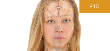 Aesthetics: Facial Anatomy