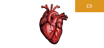 Investigation & Management of Heart Failure